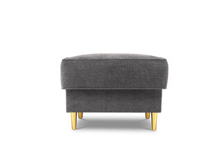 Пуф Cosmopolitan Design Fano, серый/золотистый цвет цена и информация | Кресла-мешки и пуфы | pigu.lt