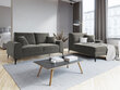 Dvivietė sofa Mazzini Sofas Madara, veliūras, šviesiai pilka/juoda kaina ir informacija | Sofos | pigu.lt