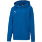 Vaikiškas džemperis Puma teamGOAL 23 Casuals Hoody Jr mėlynas 656711 02 цена и информация | Megztiniai, bluzonai, švarkai berniukams | pigu.lt