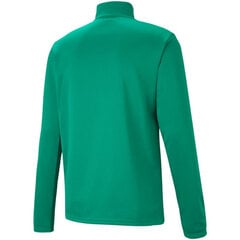 Мужской джемпер "Puma" команда Rise 1 4 Zip Top Pepper Gre зеленый 657394 05 цена и информация | Мужские толстовки | pigu.lt