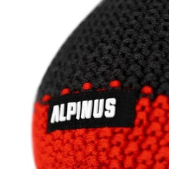 Kepurė vyrams Alpinus TT43839, įvairių spalvų цена и информация | Мужские шарфы, шапки, перчатки | pigu.lt