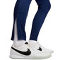 Sportinės kelnės vyrams Nike Therma Fit Strike Pant Kwpz Winter Warrior DC9159 492, mėlynos цена и информация | Sportinė apranga vyrams | pigu.lt