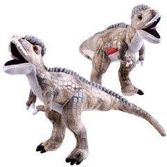 Didelis minkštas dinozauras Beppe 12951 kaina ir informacija | Žaislai berniukams | pigu.lt