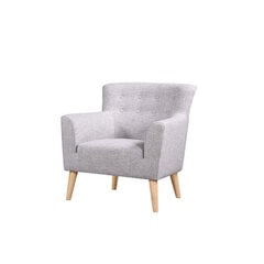 Кресло Guyana, светло-серый/светлый цена и информация | Кресла в гостиную | pigu.lt