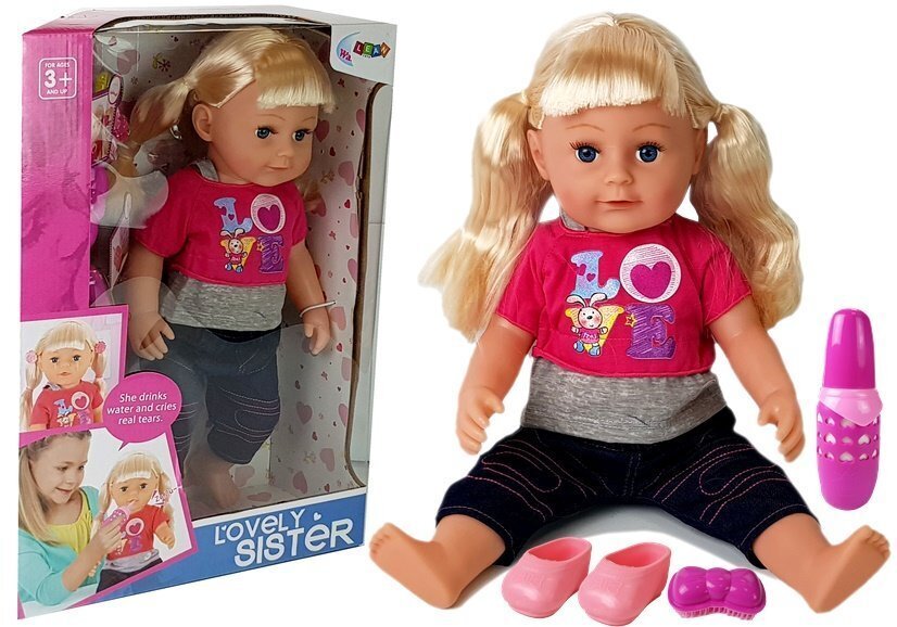Большая интерактивная кукла с аксессуарами Lovely Sister цена | pigu.lt