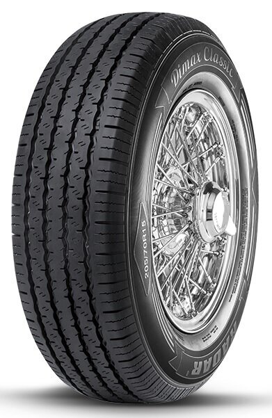 Radar Dimax Classic 125/80R12 62 S цена и информация | Vasarinės padangos | pigu.lt