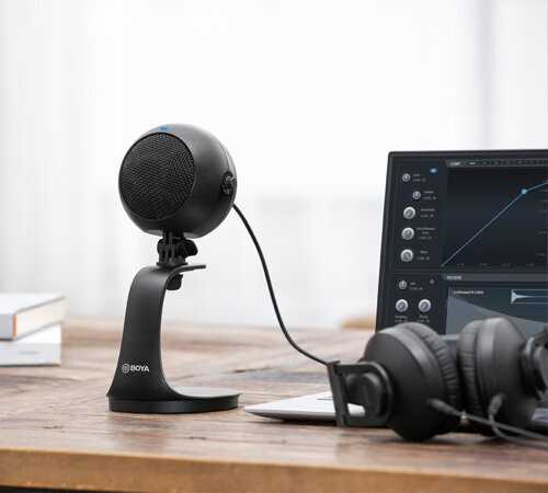 Boya microphone USB Mini Table BY-PM300 цена и информация | Mikrofonai | pigu.lt