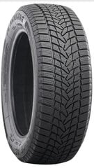 Ламельная резина Nankang 205/55R16 ICE-2 C/C/B 94T XL цена и информация | Зимние шины | pigu.lt