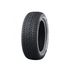 NANKANG SV-4 104 V XL 255/45R19 цена и информация | Зимняя резина | pigu.lt