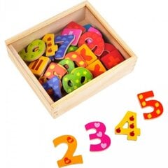 Цветные деревянные цифры с магнитом 40шт. цена и информация | Игрушки для малышей | pigu.lt
