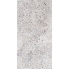 Plytelės sienoms Corso Grey 120x60 cm цена и информация | Настенная плитка | pigu.lt