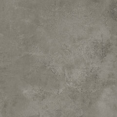 Plytelės sienoms Quenos Grey 59.8x59.8 cm цена и информация | Настенная плитка | pigu.lt