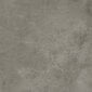 Plytelės sienoms Quenos Grey 59.8x59.8 cm kaina ir informacija | Plytelės sienoms | pigu.lt