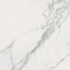 Plytelės sienoms Calacatta Marble White Polished Matt 59.8x59.8 cm цена и информация | Настенная плитка | pigu.lt