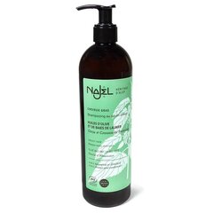 Šampūnas-kondicionierius riebaluotiems plaukams Aleppo 2in1, Najel, 500ml kaina ir informacija | Šampūnai | pigu.lt