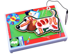 Edukacinis žaidimas Jaunasis veterinaras kaina ir informacija | Žaislai kūdikiams | pigu.lt