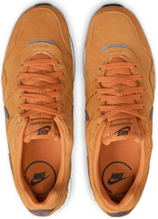 Nike Обувь Venture Runner Suede Brown CQ4557 200/11 цена и информация | Кроссовки мужские | pigu.lt