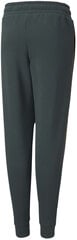 Брюки Puma Alpha Holiday Sweatpants Green 845634 80/164 цена и информация | Спортивные штаны для мальчиков | pigu.lt