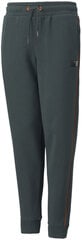 Брюки Puma Alpha Holiday Sweatpants Green 845634 80/164 цена и информация | Спортивные штаны для мальчиков | pigu.lt