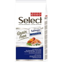 Select Adult Grain Free su lašiša, 2kg kaina ir informacija | SELECT Gyvūnų prekės | pigu.lt