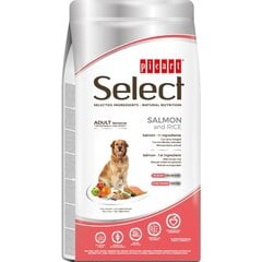 Select Adult Sensitive Salmon and Rice полноценный корм для взрослых собак 3кг цена и информация | Сухой корм для собак | pigu.lt