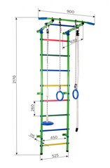 Спорткомплекс (гимнастическая стенка) СТАРТ-1, сине-радужный, 217x52,5 см цена и информация | Шведские стенки | pigu.lt