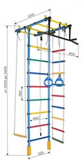 Спорткомплекс (гимнастическая стенка) АТЛАНТ, бело-радужный, 235-293x52,5 см цена и информация | Шведские стенки | pigu.lt