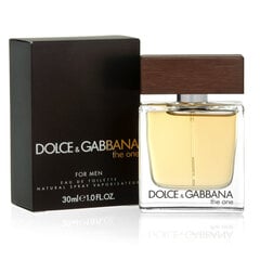 Мужская парфюмерия The One Dolce & Gabbana EDT, 30 мл цена и информация | Мужские духи | pigu.lt