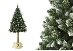 Dirbtinė Kalėdų eglutė su natūraliu kamienu Diamond, 180 cm kaina ir informacija | Eglutės, vainikai, stovai | pigu.lt