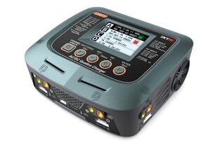 Зарядное устройство SkyRC Q200 цена и информация | Смарттехника и аксессуары | pigu.lt