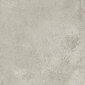 Plytelės sienoms Quenos Light Grey 59.8x59.8 cm kaina ir informacija | Plytelės sienoms | pigu.lt