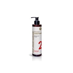 Atkuriantis kondicionierius GMT Beauty Repairing Conditioner, 250 ml kaina ir informacija | Balzamai, kondicionieriai | pigu.lt