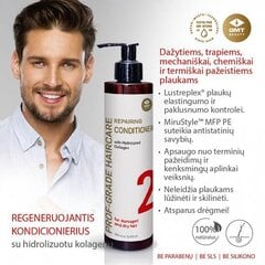 Восстанавливающий кондиционер (repairing conditioner) gmt beauty 250ml цена и информация | Бальзамы, кондиционеры | pigu.lt