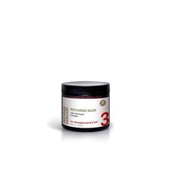 Plaukų kaukė GMT Beauty Repairing Mask, 200 ml kaina ir informacija | Priemonės plaukų stiprinimui | pigu.lt