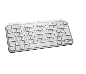 Беспроводная клавиатура Logitech MX Keys Mini for business Испанская Qwerty цена и информация | Клавиатуры | pigu.lt