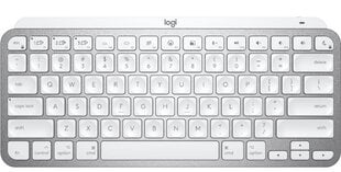 Logitech MX Keys Mini Mac цена и информация | Клавиатуры | pigu.lt