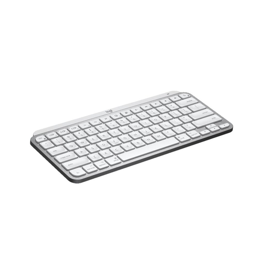 Logitech MX Keys Mini Mac цена и информация | Klaviatūros | pigu.lt