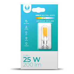 Led lemputė G9 Glass 2W 230V 4500K 200lm цена и информация | Электрические лампы | pigu.lt