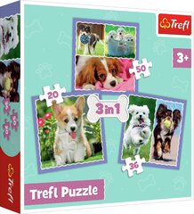 TREFL dėlionė 3in1 kaina ir informacija | Dėlionės (puzzle) | pigu.lt