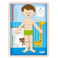 Medinė mokomoji dėlionė Woody Berniukas / Žmogaus kūnas (EN),12 vnt kaina ir informacija | Dėlionės (puzzle) | pigu.lt