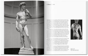 Michelangelo kaina ir informacija | Knygos apie meną | pigu.lt