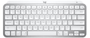 Logitech Keyboard MX Keys Mac SWE цена и информация | Клавиатуры | pigu.lt