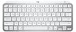 Logitech Keyboard MX Keys Mac SWE цена и информация | Klaviatūros | pigu.lt