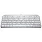 Logitech Keyboard MX Keys Mac SWE цена и информация | Klaviatūros | pigu.lt