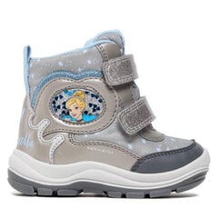 Geox Amphibiox водонепроницаемые ботинки с голенищем, серые 1001223 цена и информация | Детские зимние сапожки | pigu.lt