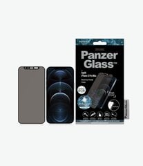 Защитная пленка PanzerGlass Privacy Camera Slider Fashion Edition Swarovski Apple iPhone 12/12 Pro, антибактериальная цена и информация | Защитные пленки для телефонов | pigu.lt