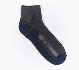 Мужские носки цена и информация | Мужские носки | pigu.lt