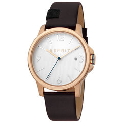 Мужские часы Esprit ES1G156L0035 цена и информация | Мужские часы | pigu.lt