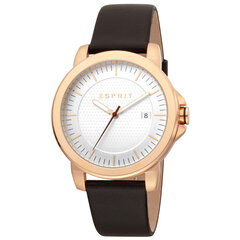 Vyriškas laikrodis Esprit ES1G160L0025 kaina ir informacija | Esprit Aksesuarai vyrams | pigu.lt