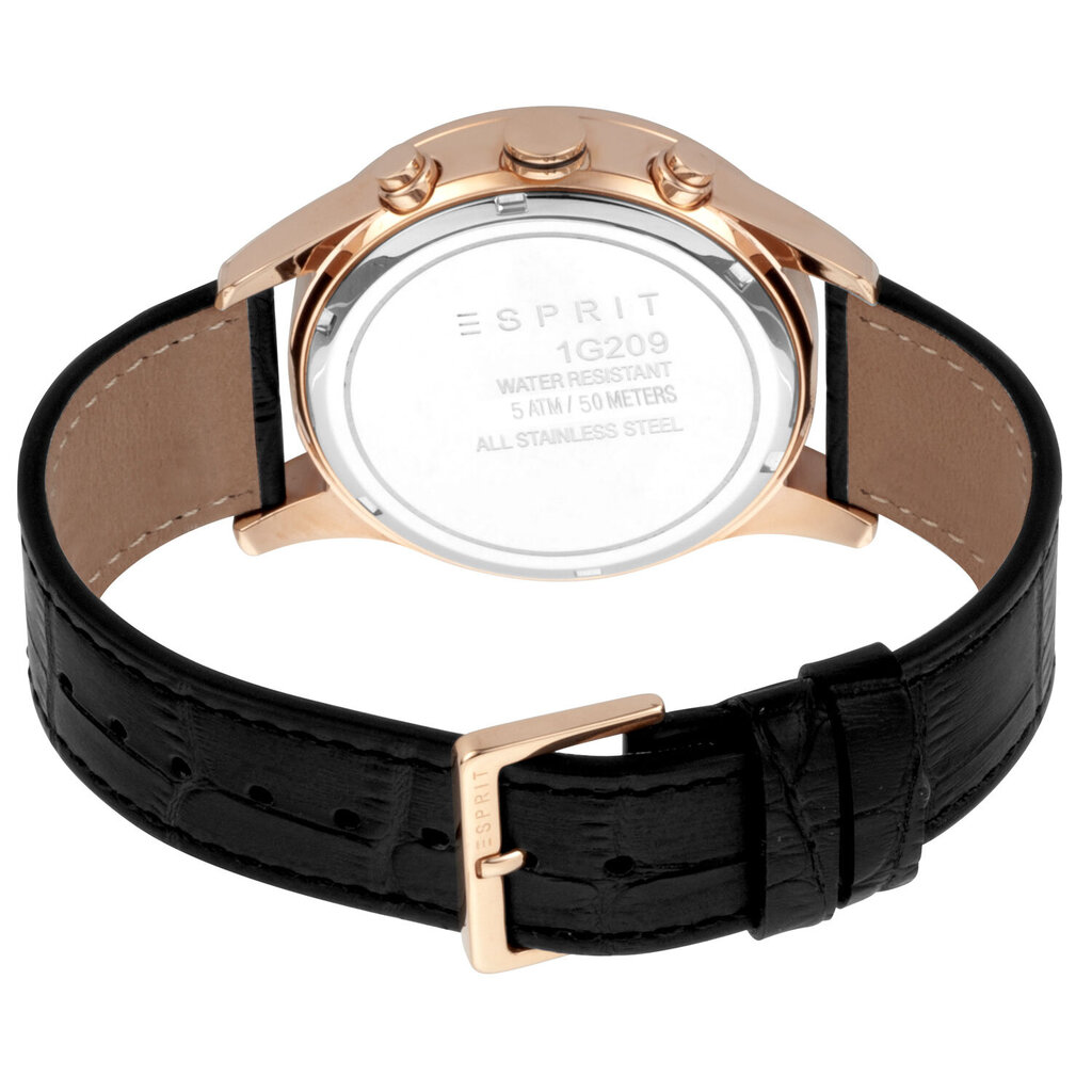 Vyriškas laikrodis Esprit ES1G209L0045 kaina ir informacija | Vyriški laikrodžiai | pigu.lt